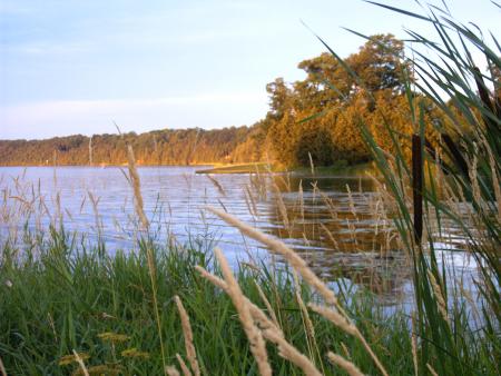 Lac de Sydenham